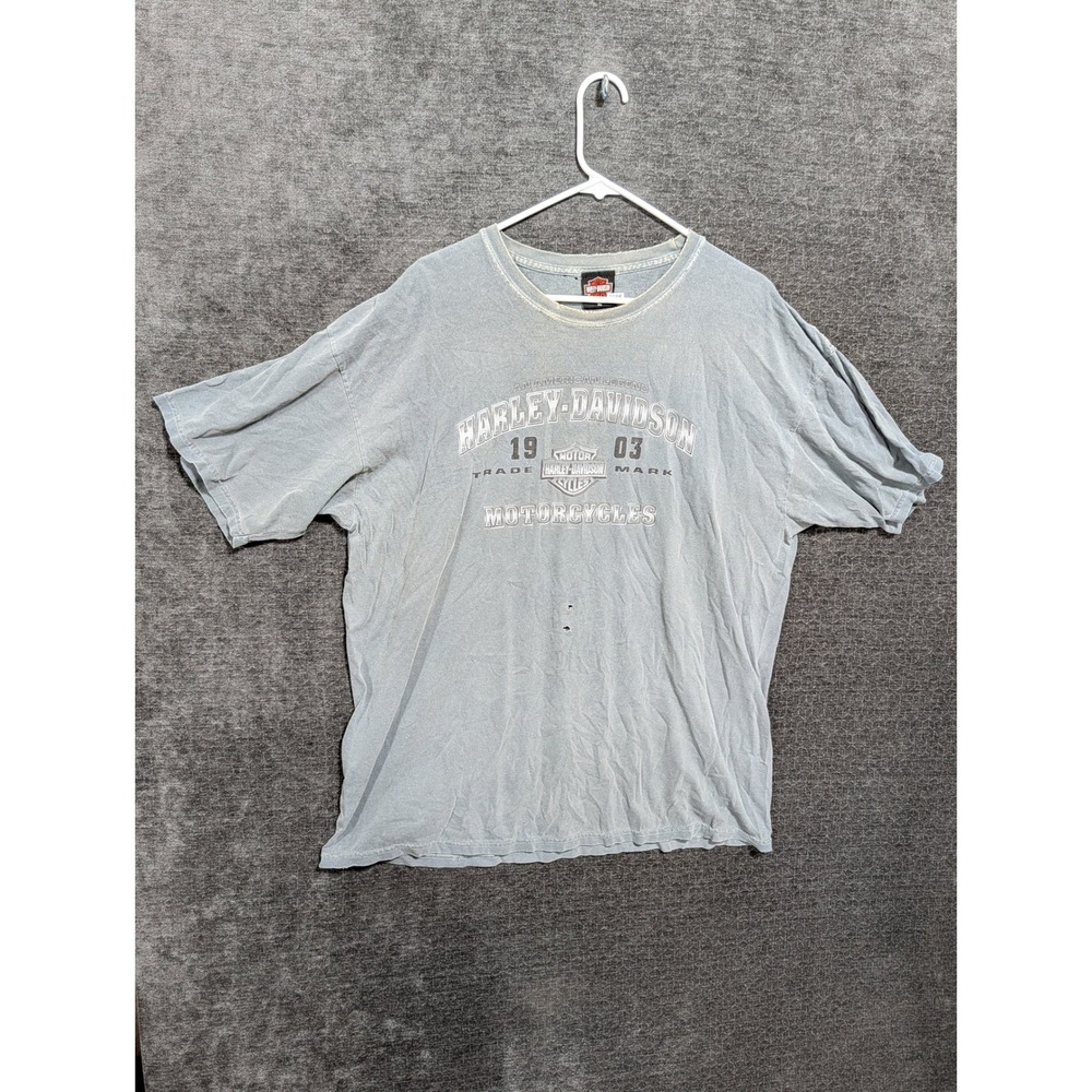 Harley Davidson Northwoods Mackinaw City MI T-Shirt Mens XL Faded Blue Vintage